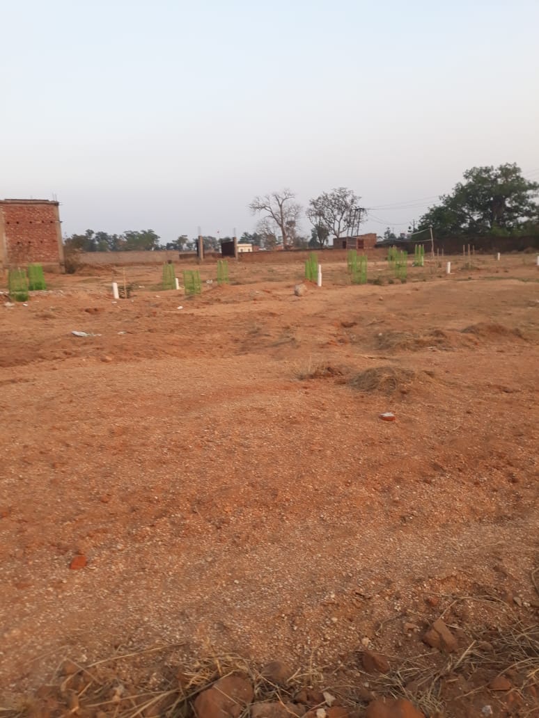 Prithvi vedic village , kumariya