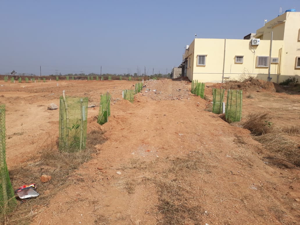 Prithvi vedic village , kumariya