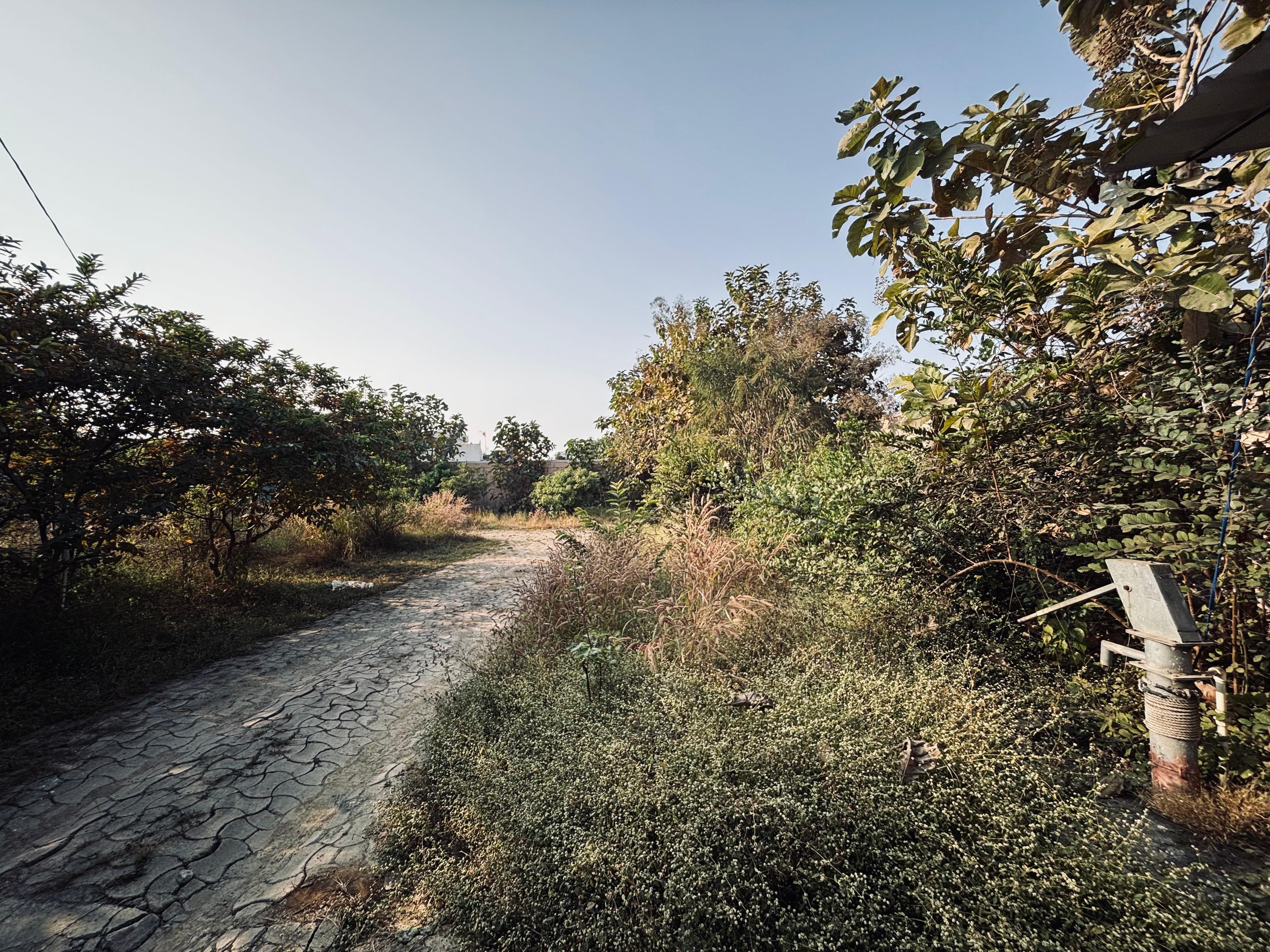 Open space , tilta chowk