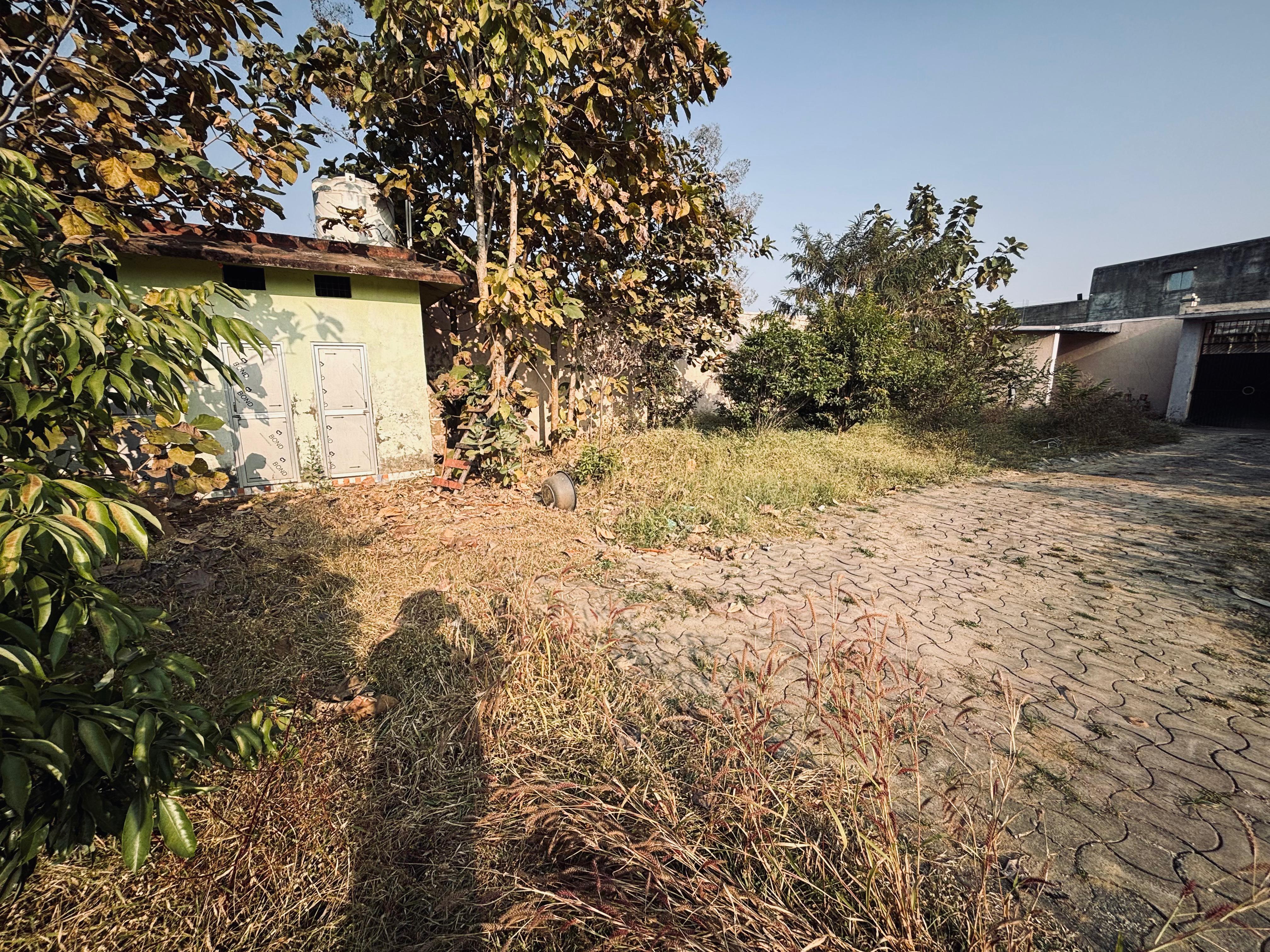 Open space , tilta chowk