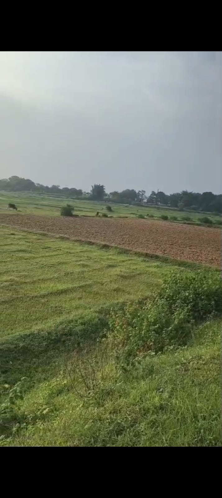 PLOT IN MANDAR