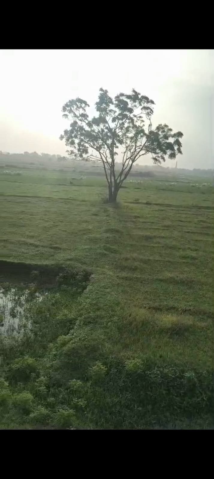 PLOT IN MANDAR