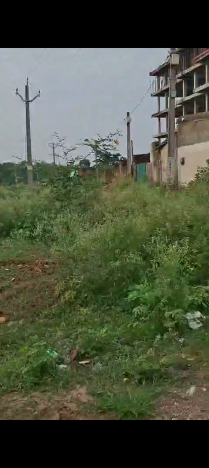 PLOT IN ARGORA