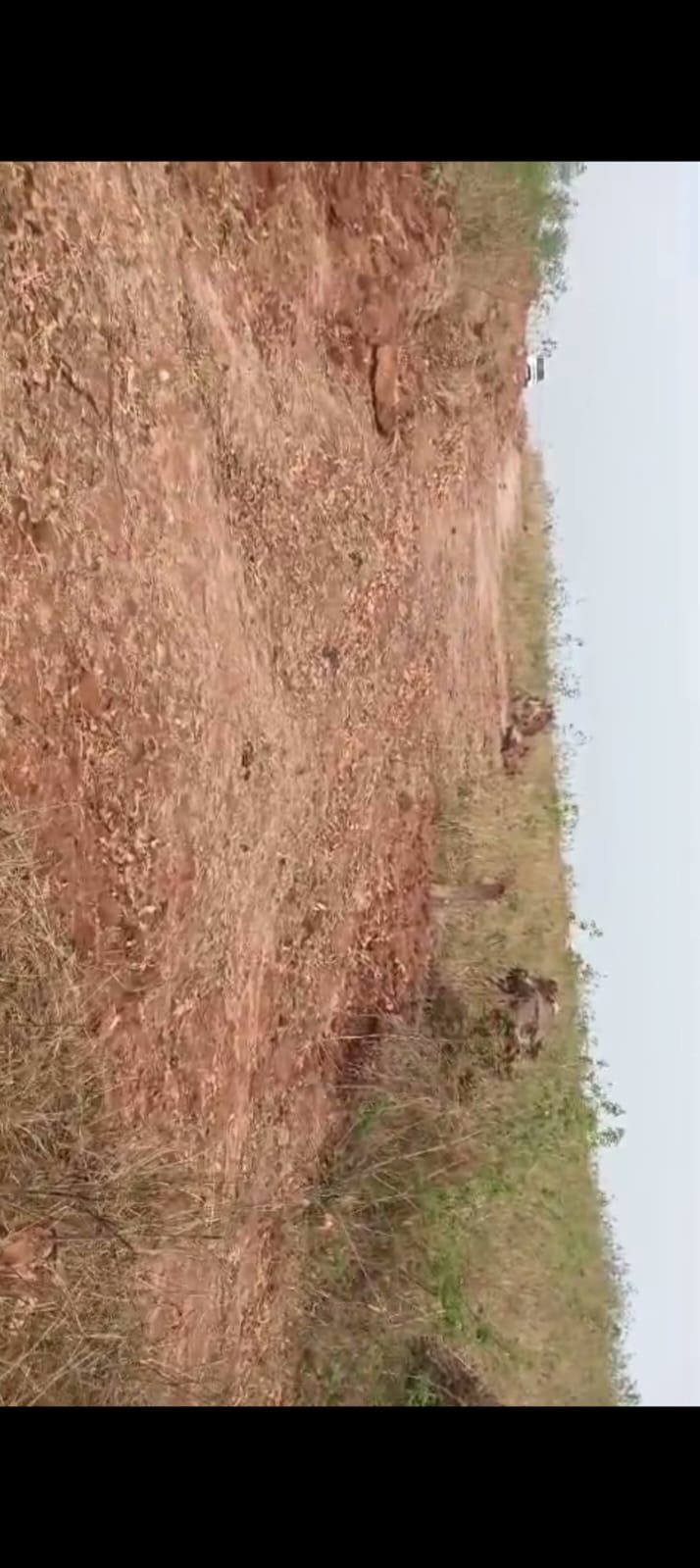 PLOT IN URUGUTTU KANKE