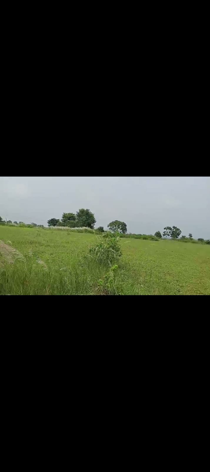PLOT IN HAJI CHOWK RING ROAD