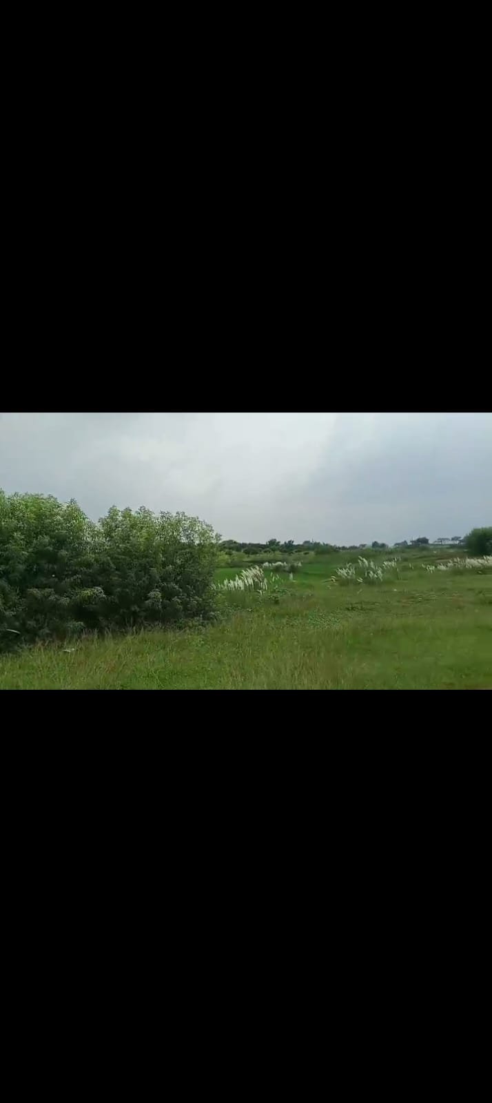 PLOT IN HAJI CHOWK RING ROAD