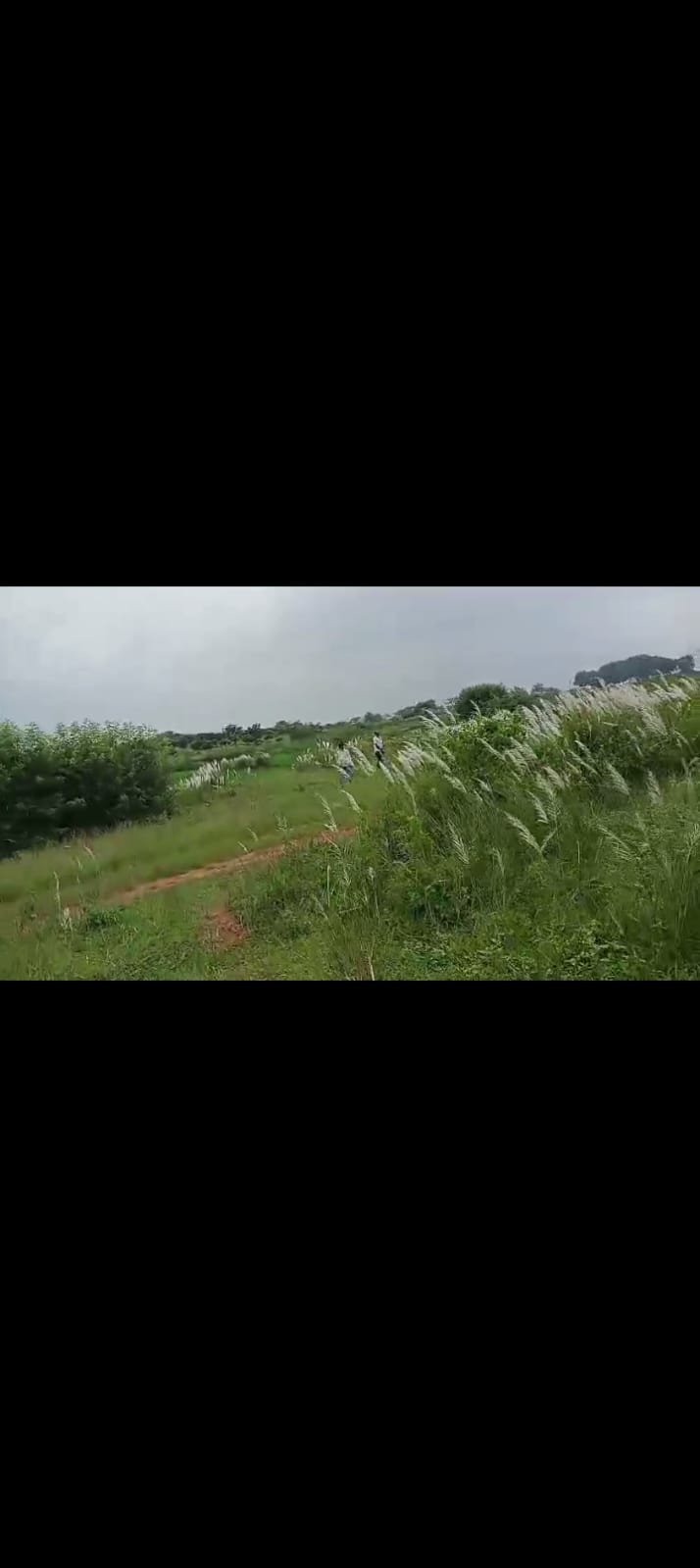 PLOT IN HAJI CHOWK RING ROAD