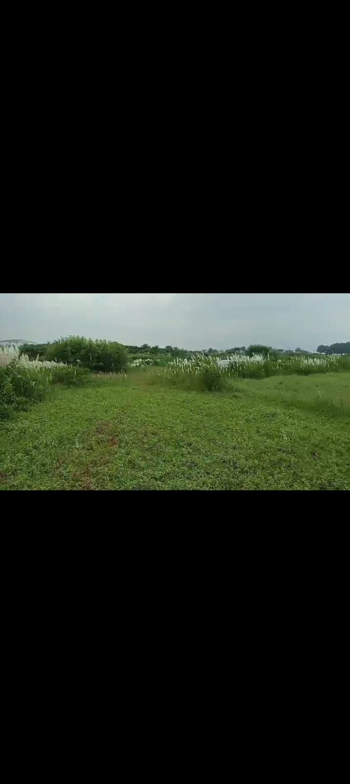 PLOT IN HAJI CHOWK RING ROAD