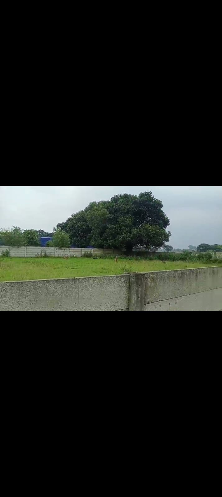 PLOT IN HOCHAR RING ROAD