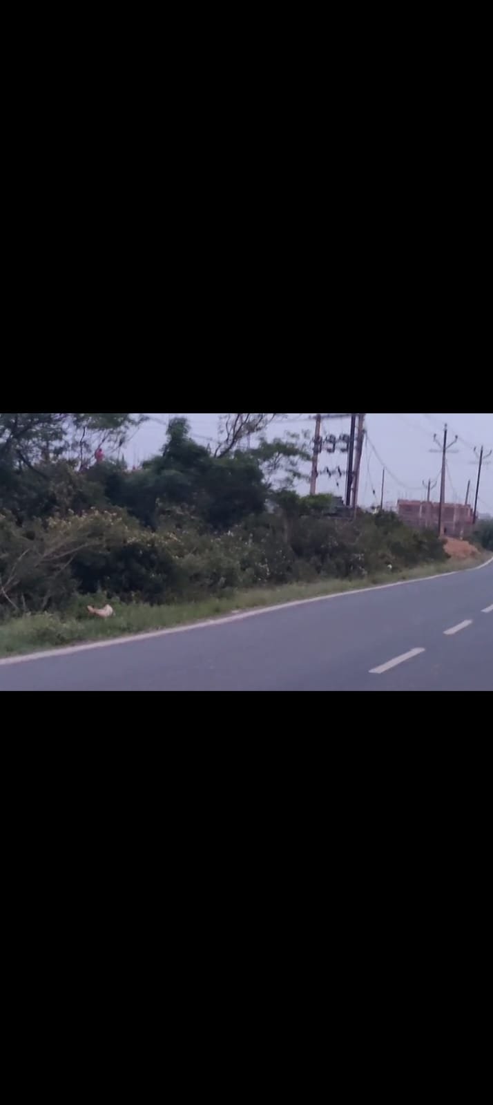 PLOT IN CHANDWE