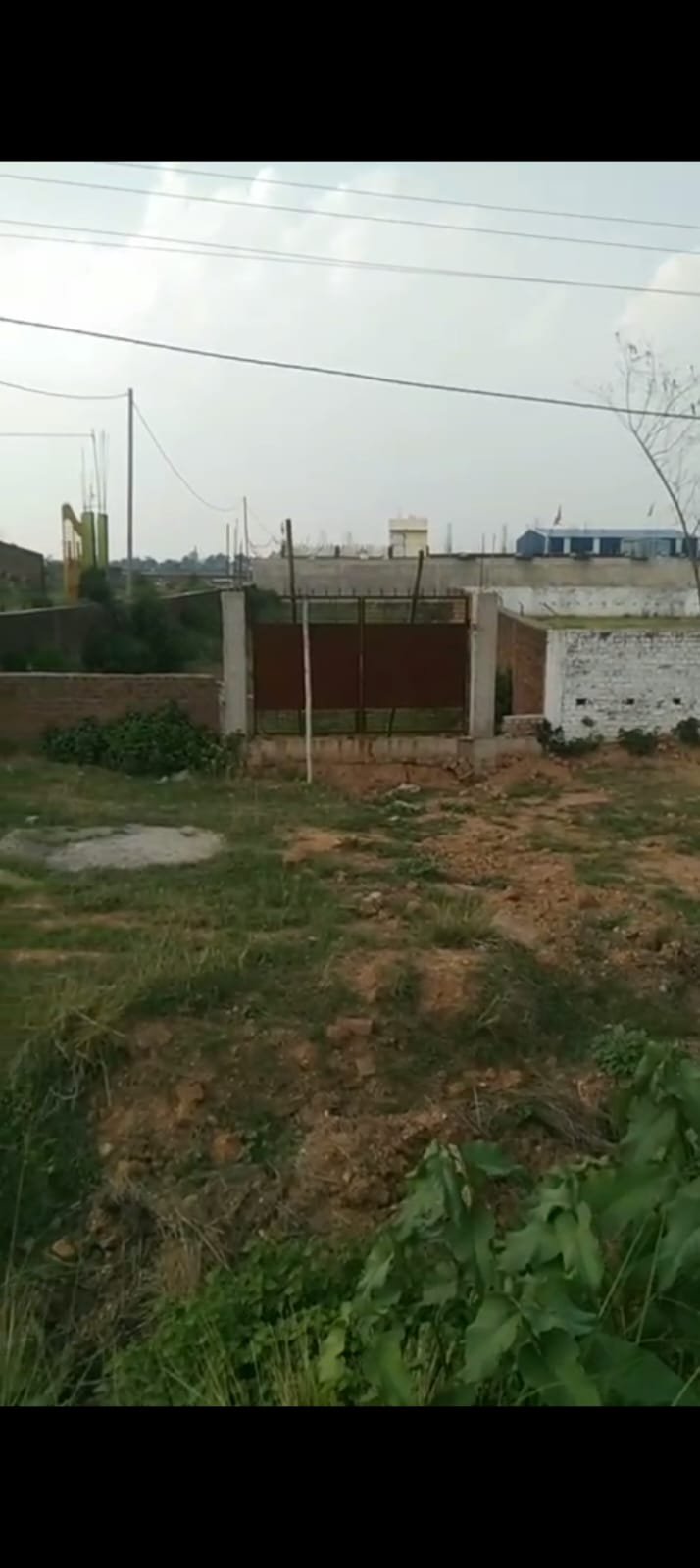 PLOT IN THAKUR GAON