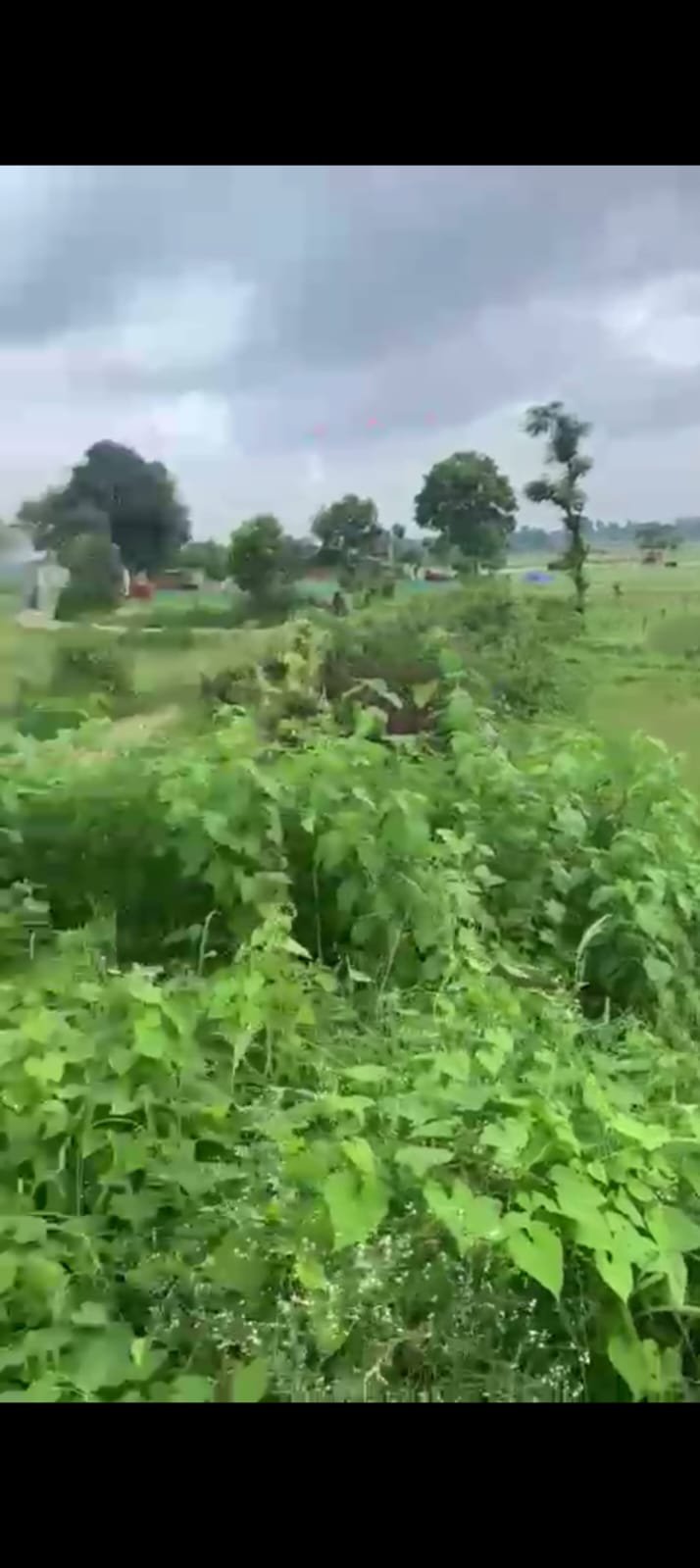 PLOT IN THAKUR GAON