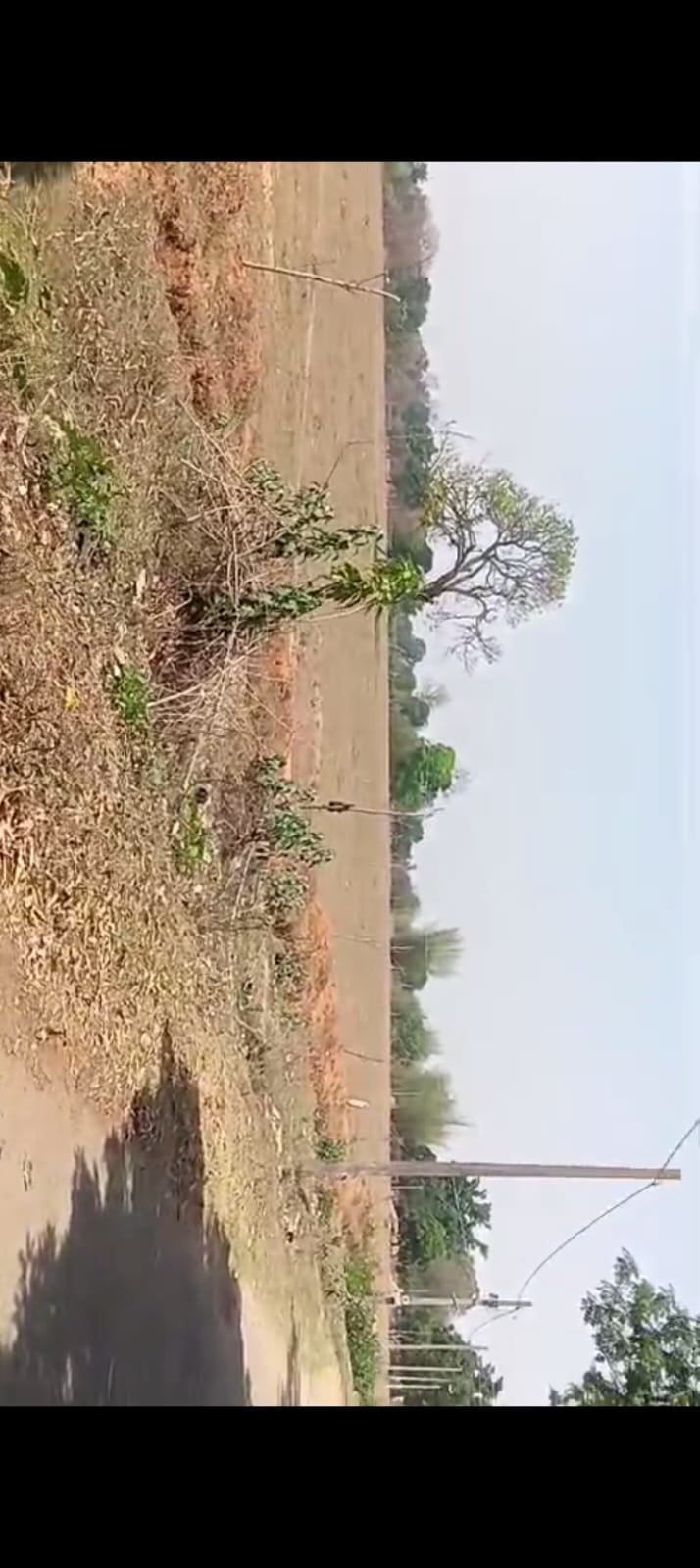 PLOT IN GUMLA BANO ROAD