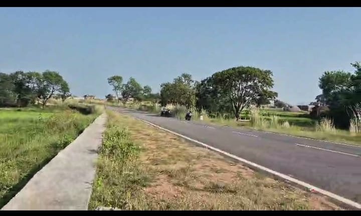 PLOT ON SALE (CENTRAL UNIVERCITY RING ROAD )