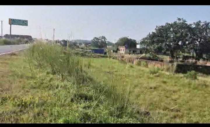 PLOT ON SALE (CENTRAL UNIVERCITY RING ROAD )