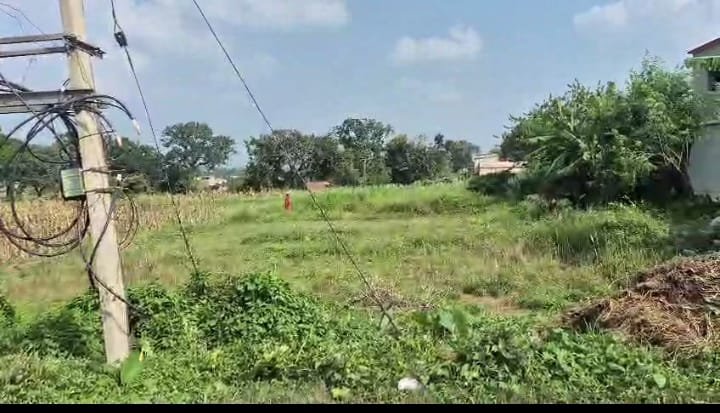 PLOT ON SALE (MAMATU ,RING ROAD)