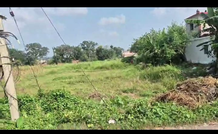 PLOT ON SALE (MAMATU ,RING ROAD)