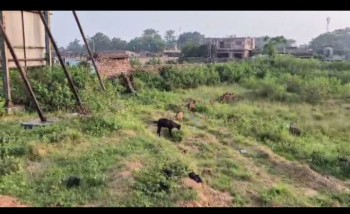 PLOT ON SALE (HESAL ,RING ROAD)