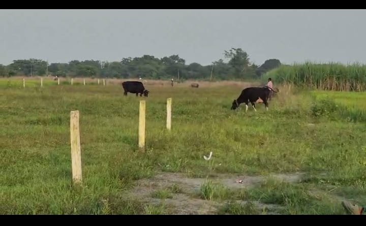 PLOT ON SALE (MALTOTI NH-75 MANDAR RANCHI)