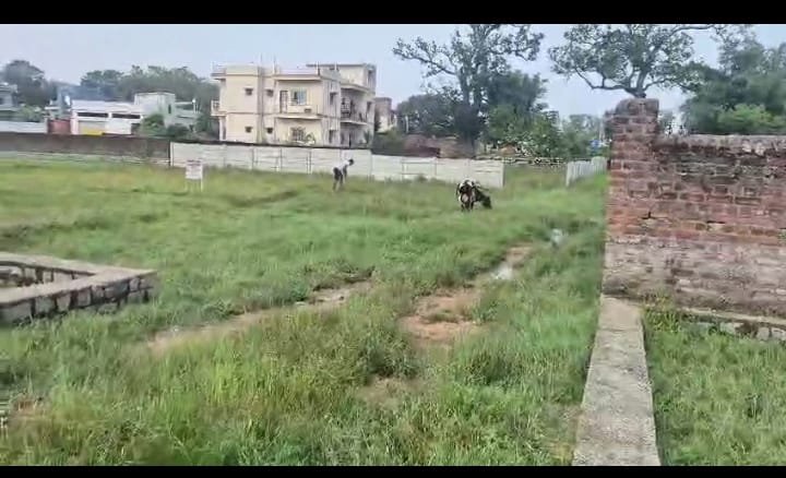 PLOT ON SALE (TETRI RANI BAGH RANCHI)