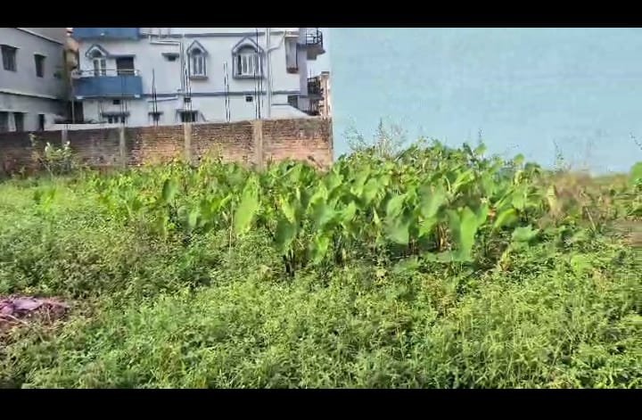 PLOT ON SALE (SHANTI CHOWK AYODHYAPURI CHUTIA)